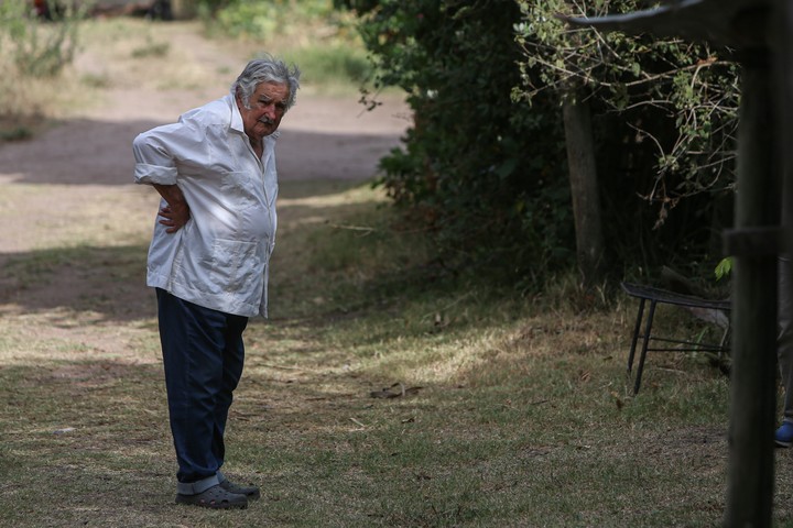 El expresidente de Uruguay José Pepe Mujica, en su casa de Rincón del Cerro.  Foto: EFE