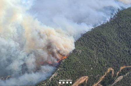 Imagen de la zona del incendio en Cabacés (Priorat)