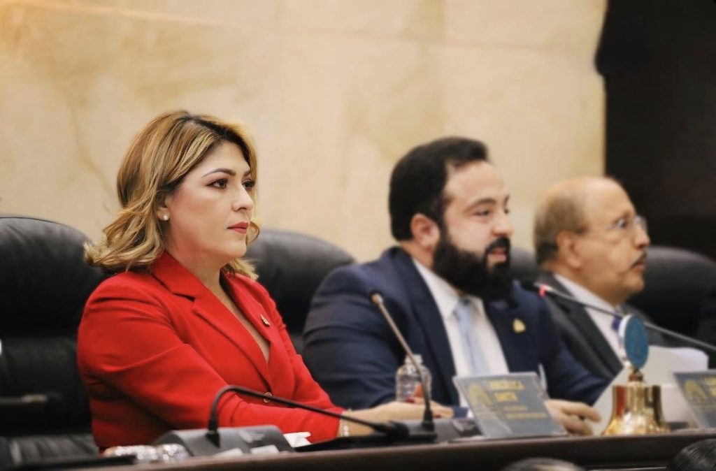 Acusan a Luis Redondo de violar la ley en la gestión de renuncia en el CNE